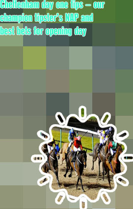 Best each way tipster